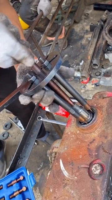 五金工具与宠物用品 跨行业的家居需求融合