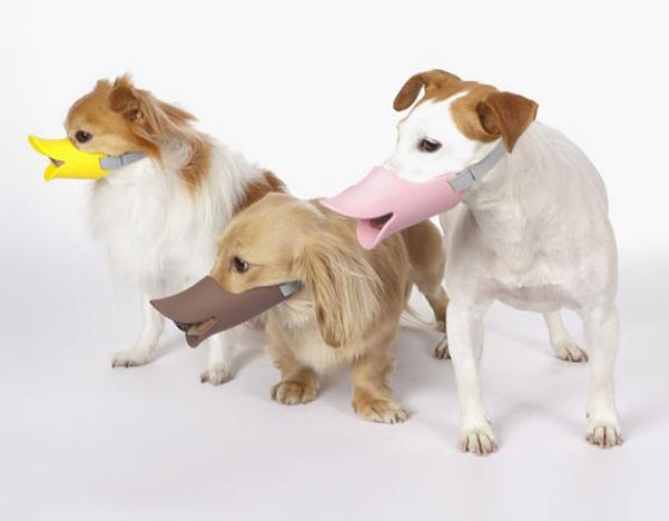 别只知道猫窝狗绳，这些脑洞大开的宠物用品才叫绝！