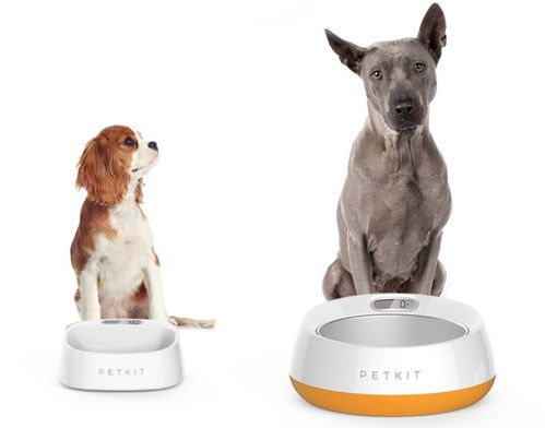 小佩获亿元B轮融资 从智能用品迈向智慧门店，打造宠物生活新生态