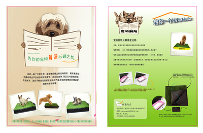 告别异味烦恼 全方位解读宠物除臭与清洁用品