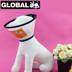 佺球宠物用品专营店 宠物生活服务领导者，仅此一天大放送！