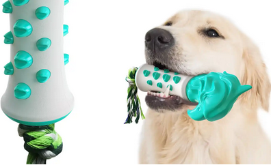 楚克奇宠物用品 多元产品线，满足宠物全方位需求