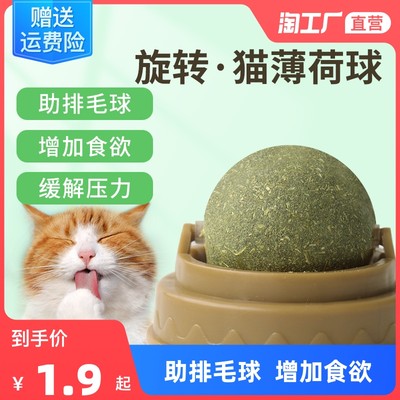 萌宠经济崛起 网购宠物用品成消费新趋势