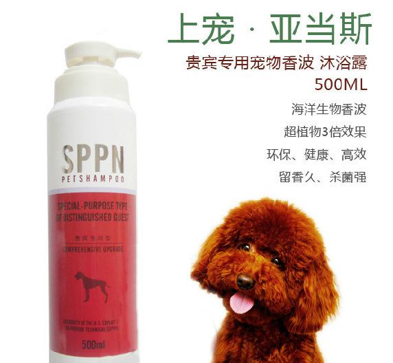 SPPN亚当斯宠物沐浴露 红棕毛贵宾的专属奢华SPA体验