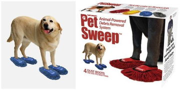 宠物用品奇思录 人类为爱宠打造的创意发明